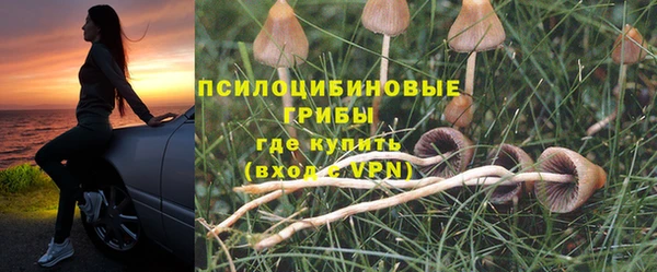 дживик Армянск