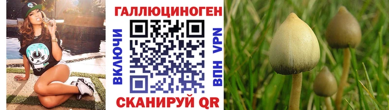 сайты даркнета наркотические препараты  Калачинск  Псилоцибиновые грибы Magic Shrooms  omg как зайти 